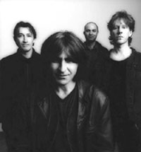 The Chameleons